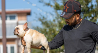 What Is Mo Shaikh, a Dog Breeder and Founder of FrenchBabyBullz, up to These Days